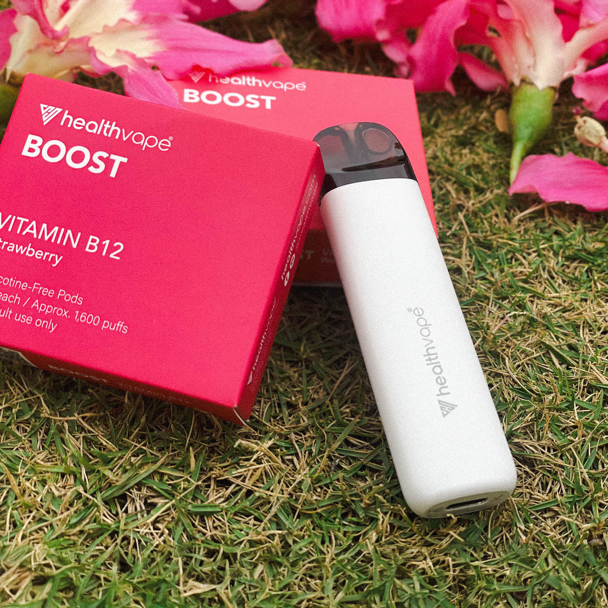 VARIETY Rechargeable Sampler Pack - Image 11
