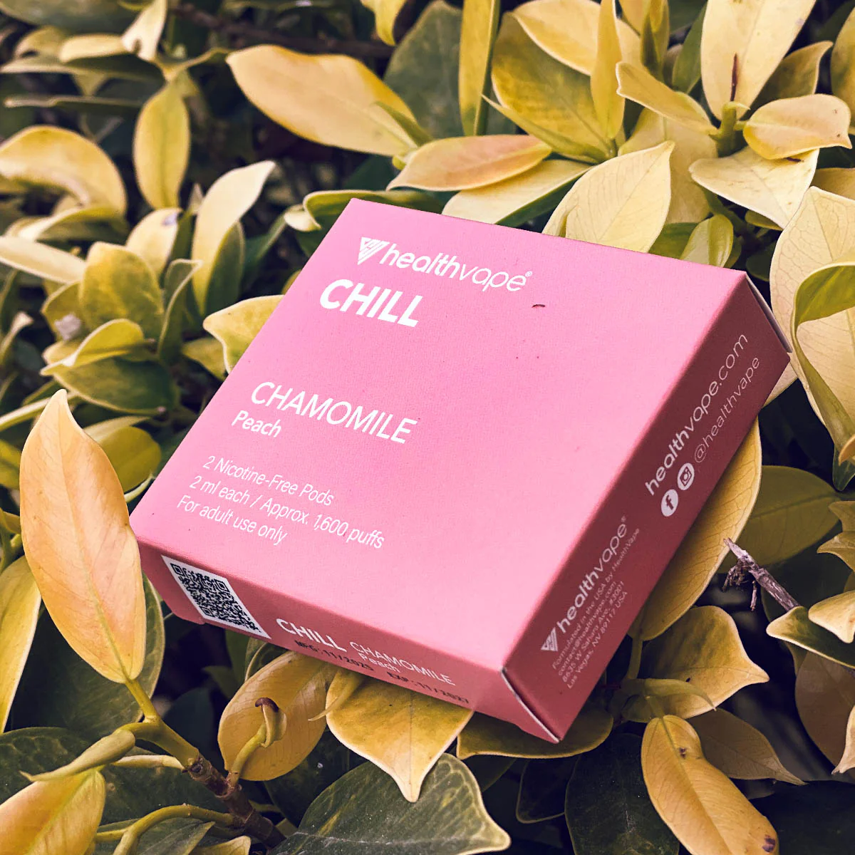 RELAX Rechargeable Starter Pack - Image 13