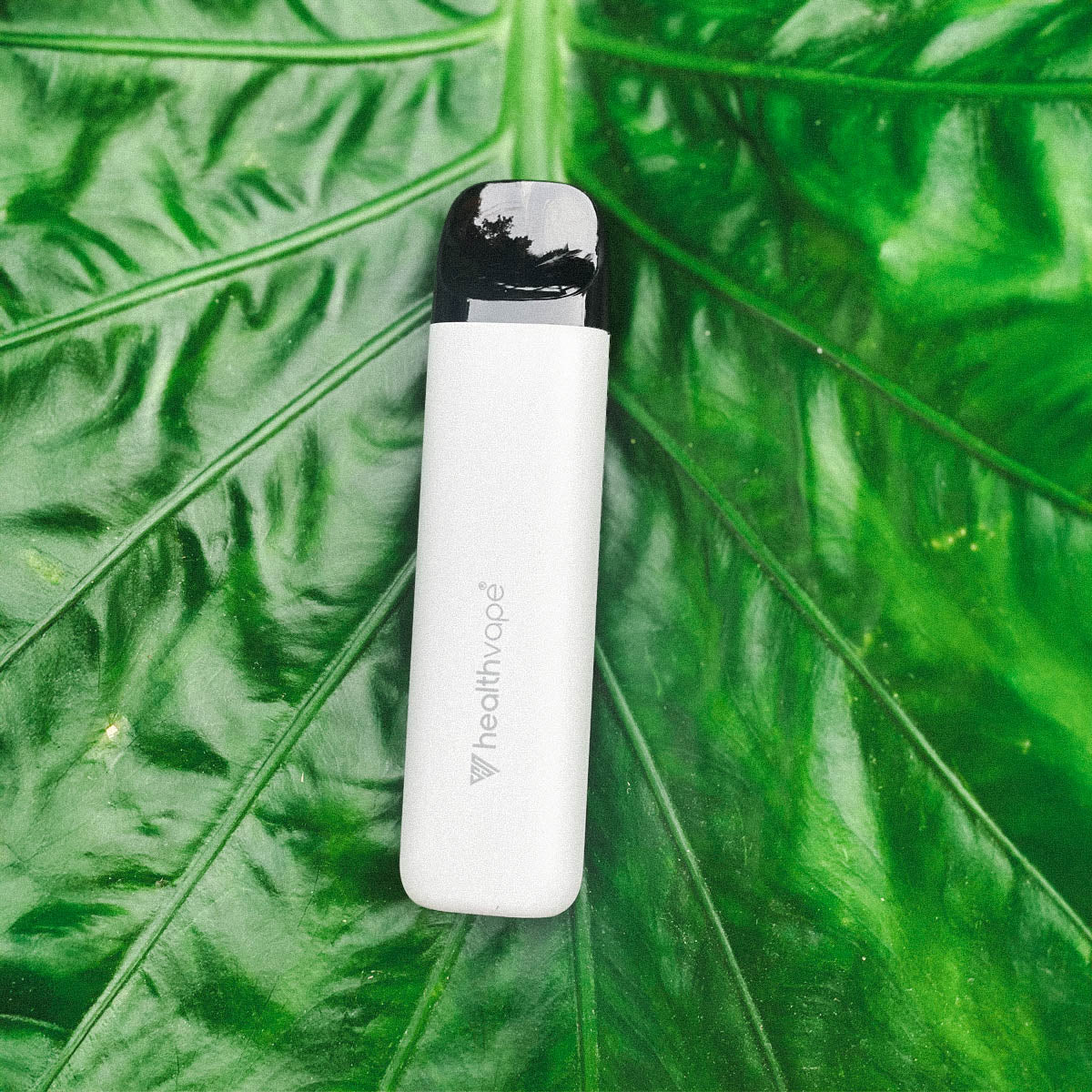 RELAX Rechargeable Starter Pack - Image 8