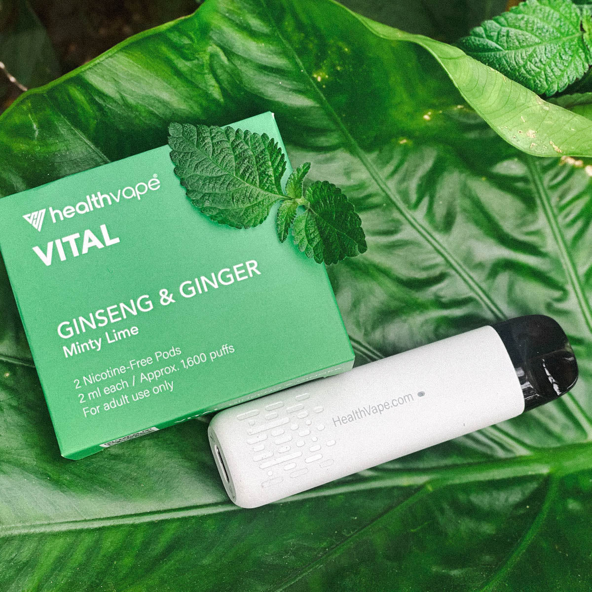 Minty Lime Flavored Ginseng Pods - Image 5